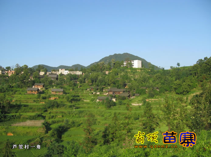  p>翁项苗寨位于凯里市旁海镇,距凯里市有约12公里(旁海镇与凯里市的1