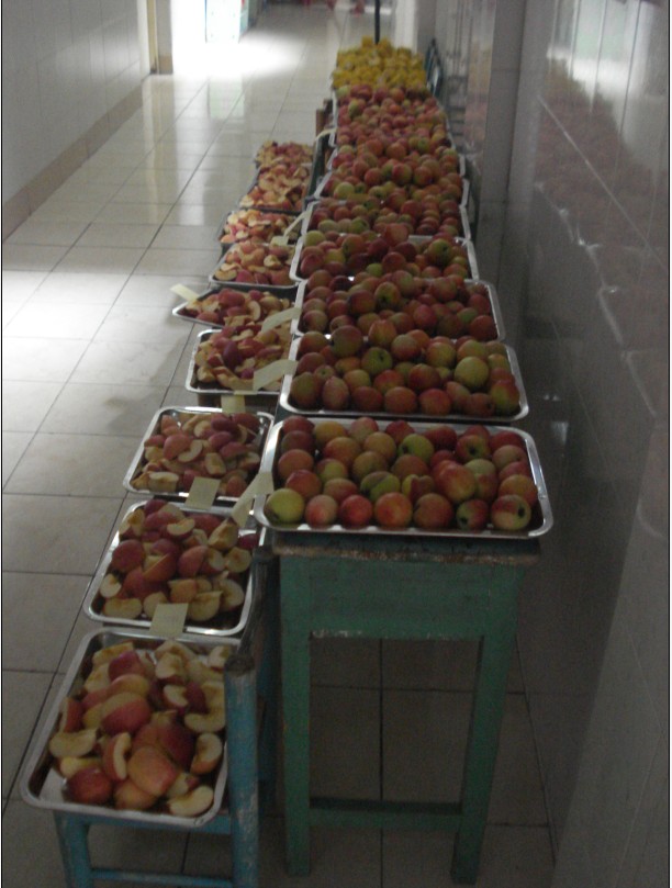 容桂小百合幼儿园