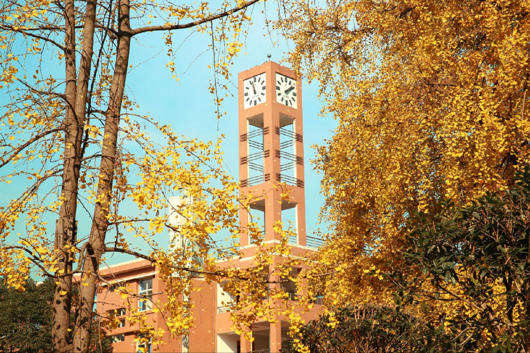  p>成都市第八中学(chengdu no.