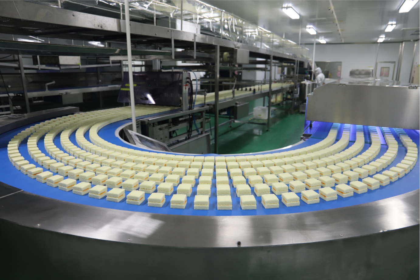 湖南盐津铺子食品有限公司