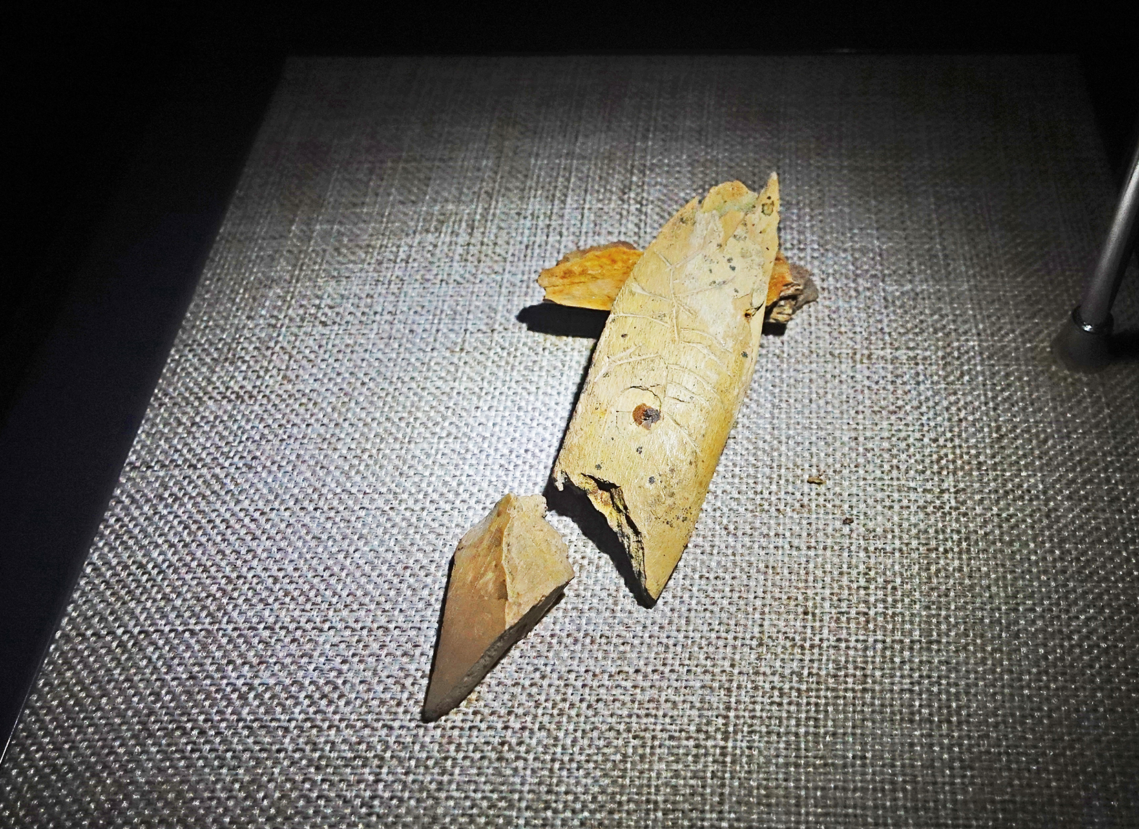 王府井古人类文化遗址博物馆