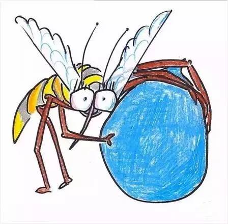 为什么蚊子不会被雨砸死