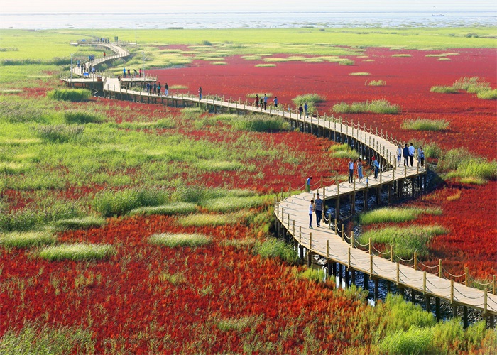 辽宁省盘锦市红海滩风景廊道景区