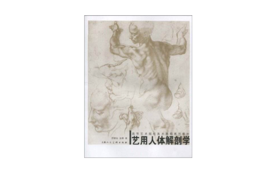 艺用解剖人体