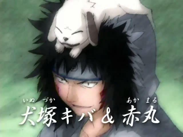  p>赤丸,日本漫画《 a target="_blank" href="/item/火影忍者/8702"