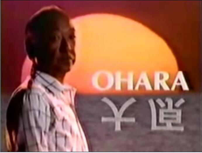 曾于上世纪90年代被引进国内上映,由辽艺配音