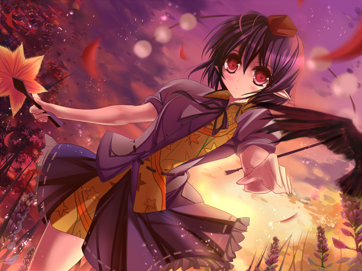 ="/item/萝莉/41169" data-lemmaid="41169">萝莉 /a>的英文是"loli"