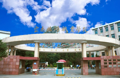 云南职业旅游学院