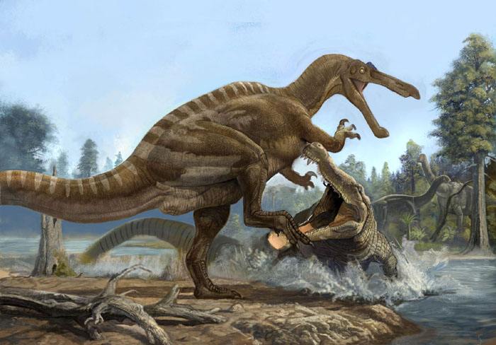 棘鳄龙(spinosuchus)