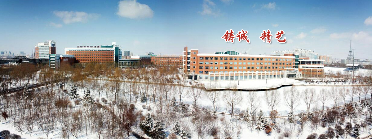 ӦְҵѧԺ_ӦְҵѧԺӺ_ְҵѧԺ