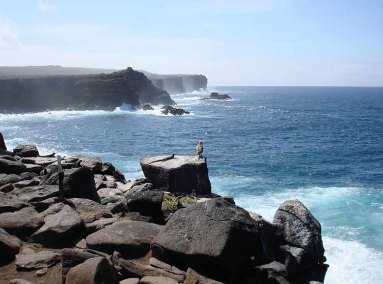  p>科隆群岛(英文 colón island,西班牙文 archipiélago de colón)