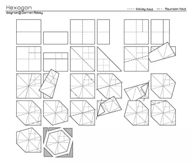 如何用一张1 1的纸折出正七边形 百科ta说