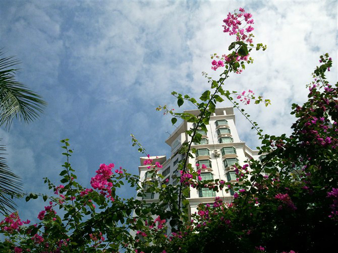 珠江半岛花园