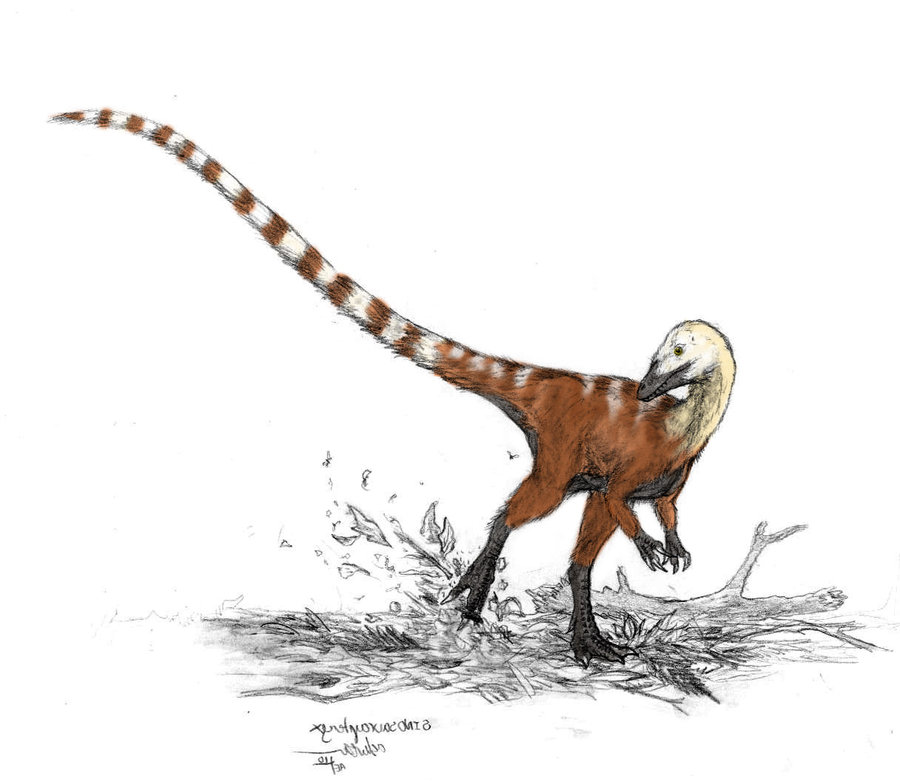  p>中华龙鸟生存于距今1.4亿年的早白垩世.