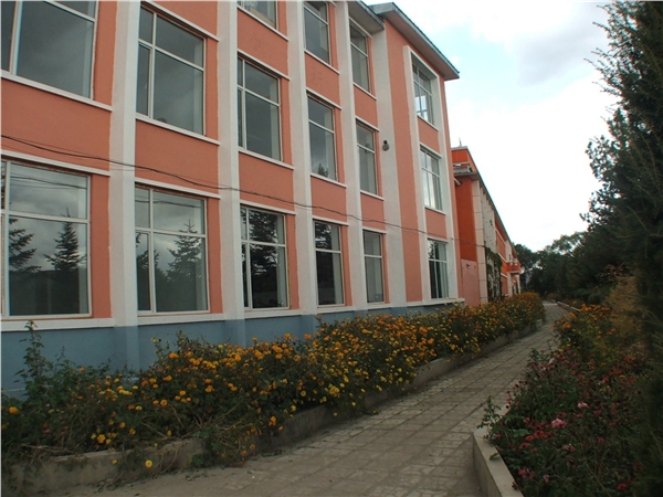  p>吉林省汪清县罗子沟镇中学创办于1951年,1952年在州教育机构正式