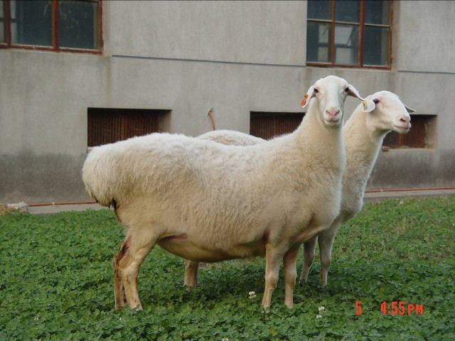 苏州太湖旅游景区