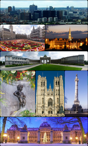  p>布鲁塞尔(英语:brussels;法语:bruxelles;德语:brüssel),是 a