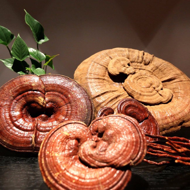 href="/item/冠县/1104861" data-lemmaid="1104861">冠县 /a>特产