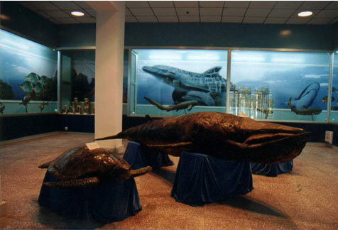  p>昌平区博物馆位于北京市昌平区府学路10号,1988年成立.