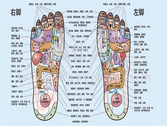 ">传统医学 /a>, a target="_blank" href="/item/经络学/1699971"