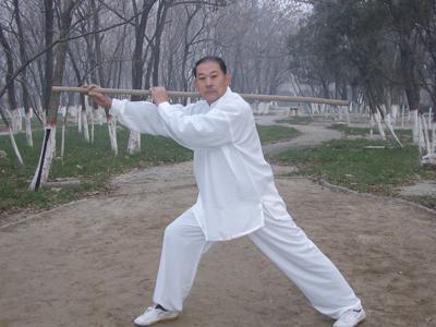  p data-id="gnytm5qi1s">疯魔棍是少林棍法一种,姜容樵先生著少林