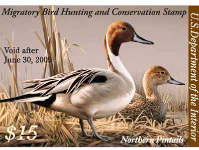 the migratory bird hunting and conservation stamp