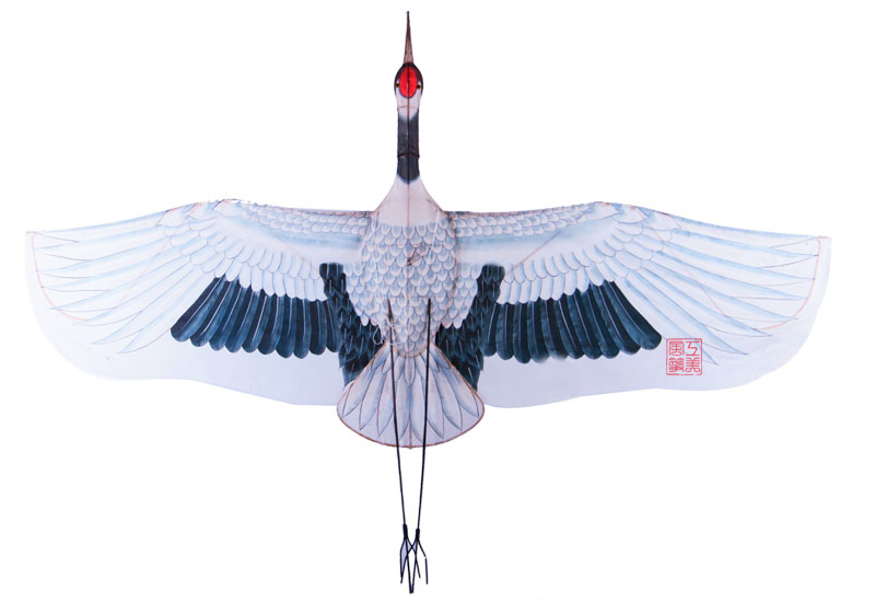 软翅风筝