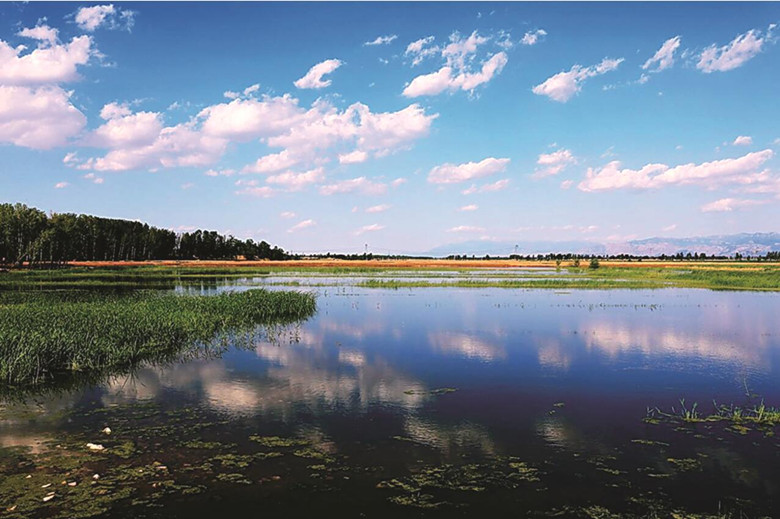 壶流河湿地省级自然保护区