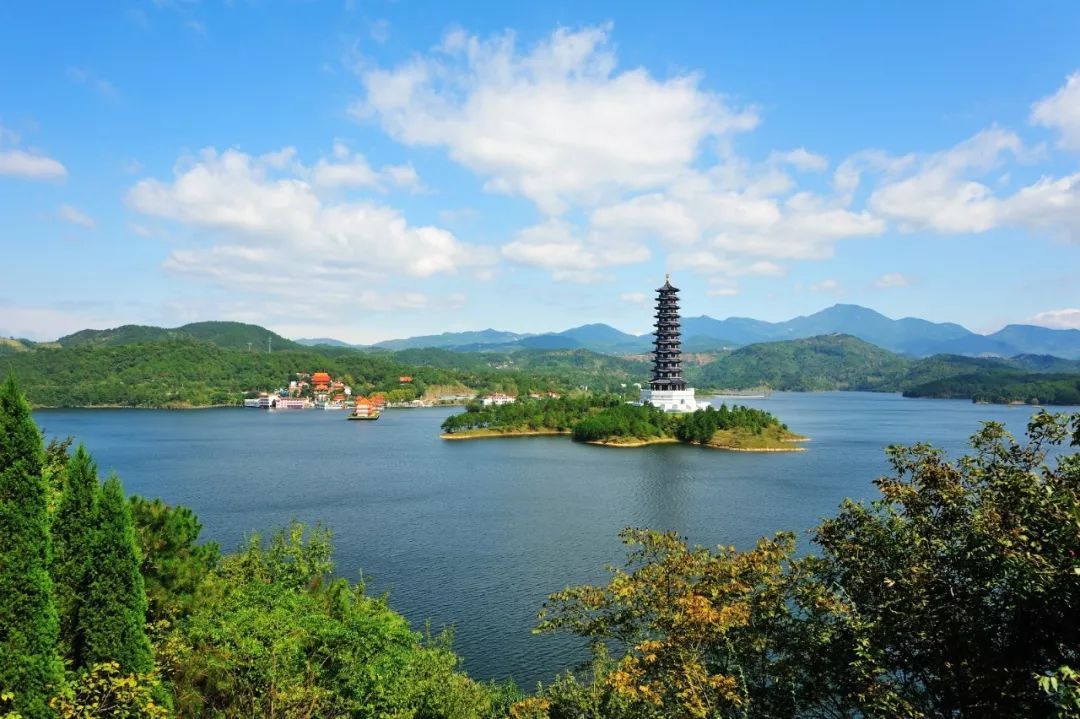 武汉市新洲区 a target="_blank" href="/item/道观河风景区/1415905"