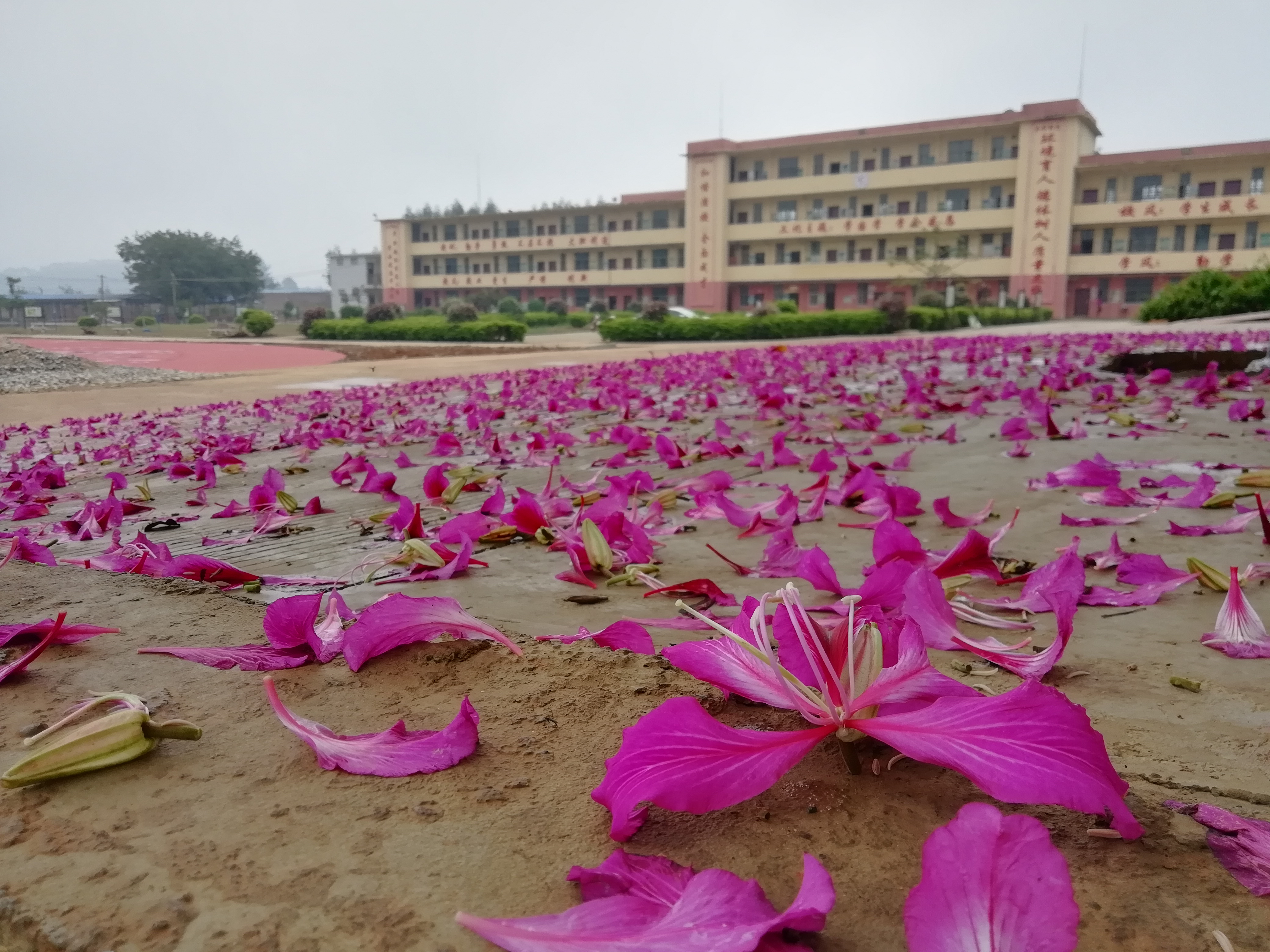 兴业县龙安镇第一初级中学