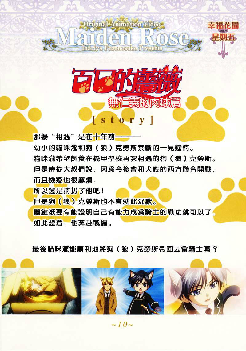 百日蔷薇