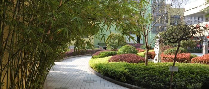  p>南京市紫竹苑小学,位于南京市的一所所厂办小学. /p>