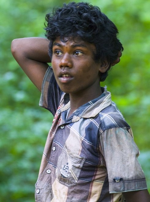  p>棕色人种,又称澳大利亚人种,是按照遗传和体质为人类分类所划分出