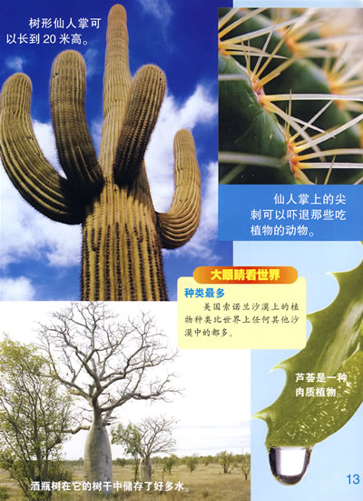 非洲撒哈拉大沙漠