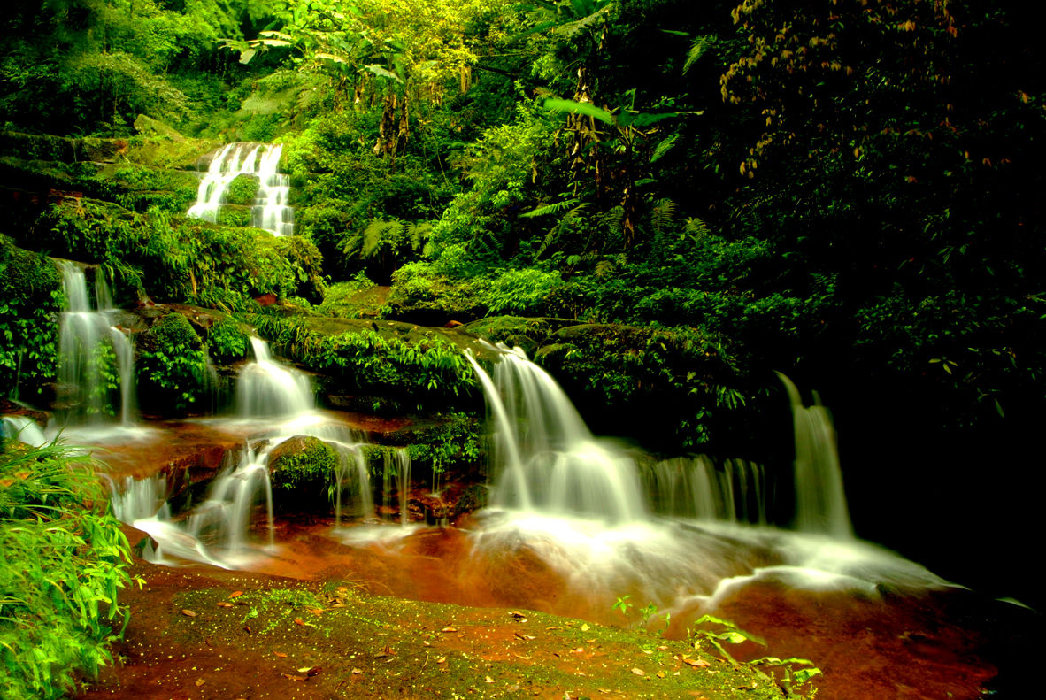 ex hook.) r. m. tryon