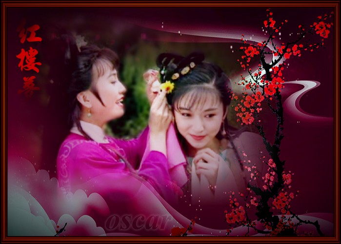  p>《红楼梦》是1996年由台湾 a href="#" data-lemmaid="2092052">