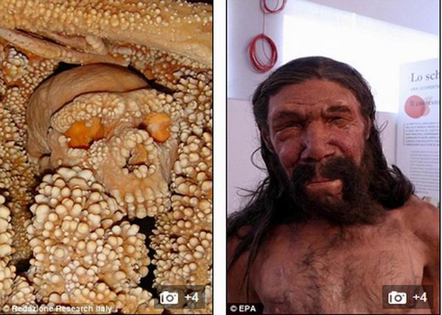 阿尔塔穆拉穴居人