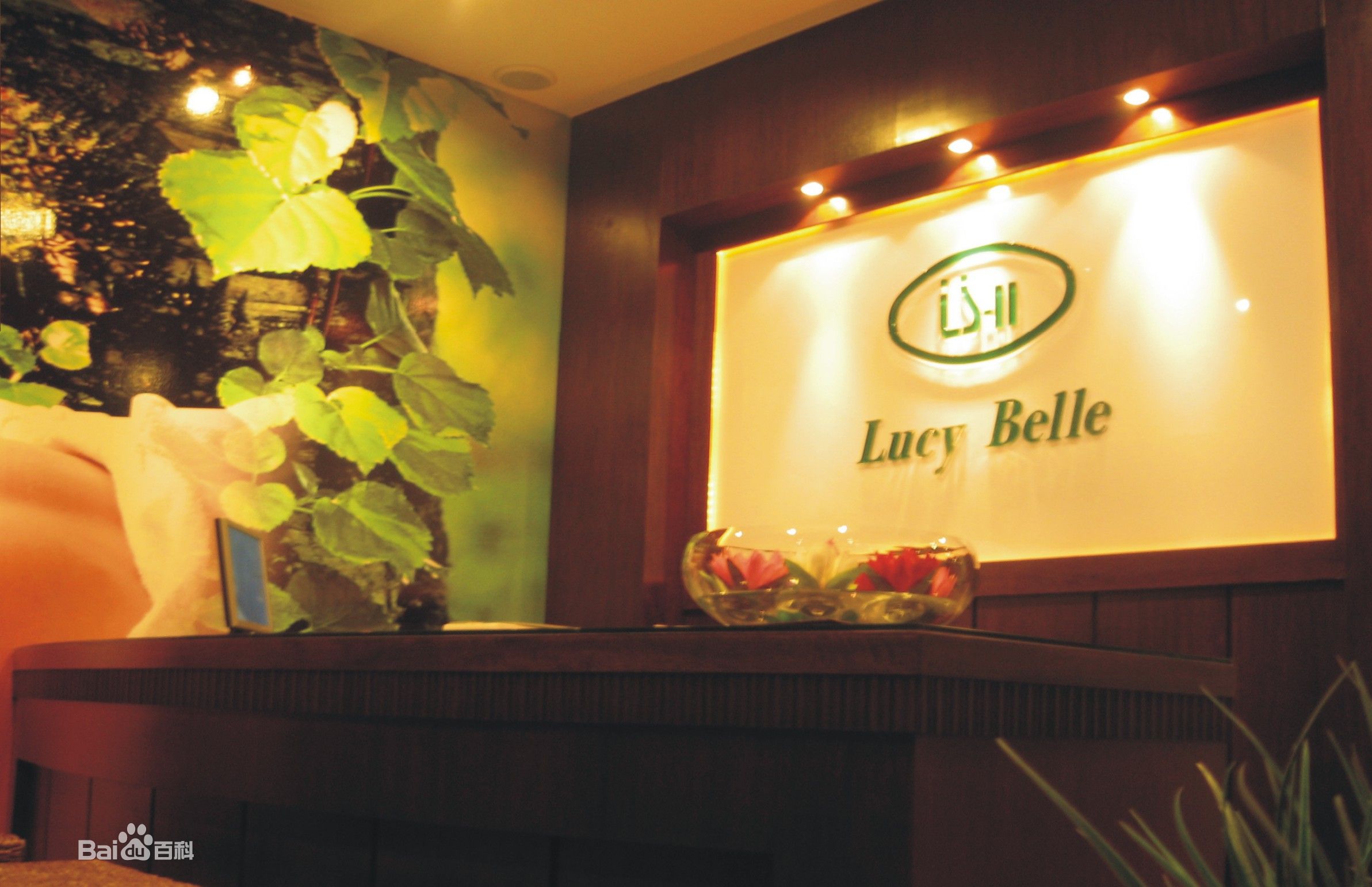  p>dream more 是露丝贝儿旗下子品牌,成立于2013年.