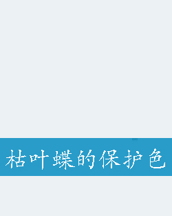 枯叶蝶的保护色