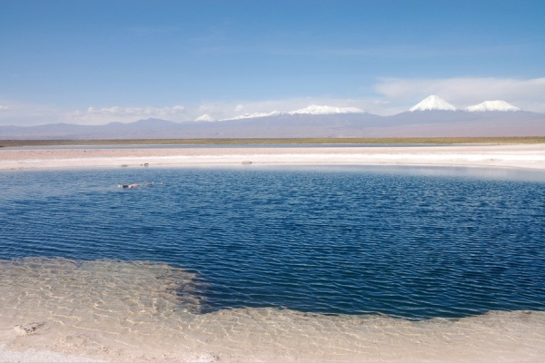  p data-id="gnwtqwf60t">中国白沙滩所以得名是因为细白如银的沙滩