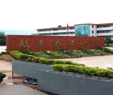 云南省禄丰县城南小学