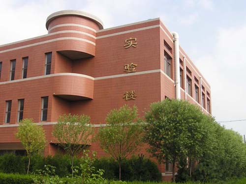 大同市实验中学