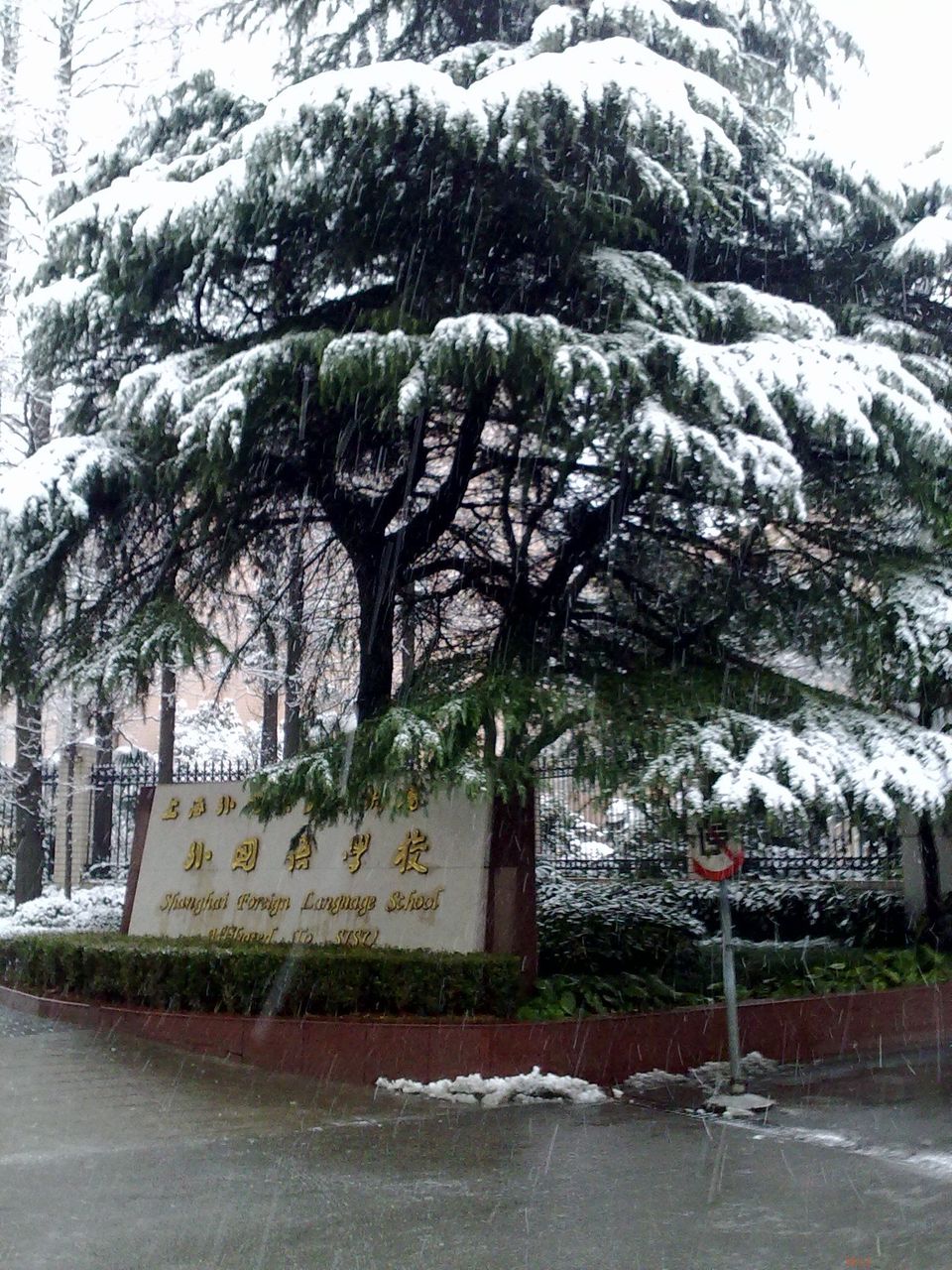  p>上海外国语大学附属外国语学校(简称:上外附中)是一所七年一贯中学