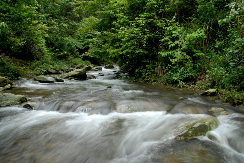 湖南省乌云界国家级自然保护区
