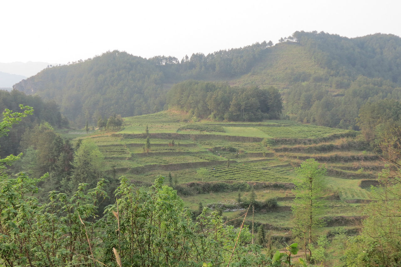  p>万屯村位于贵州省石阡县中坝镇北部,东经108.19度,北纬27.