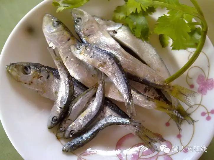 潮汕乌鱼