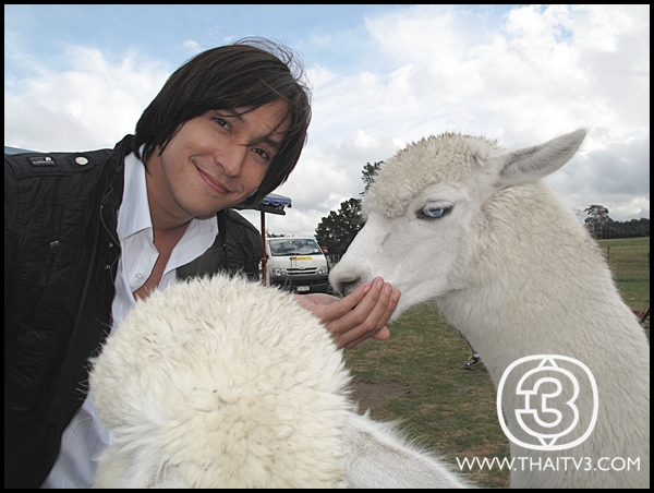  p>泰剧《金橘花》是《 a target="_blank" href="/item/橙花皇冠