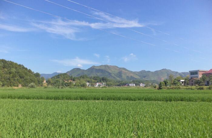  p>坪阳庙乡,旧乡名,隶属于湖南省株洲市攸县,地处 a target="_blank"