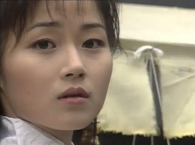 精武门"jingwumen"(1995)