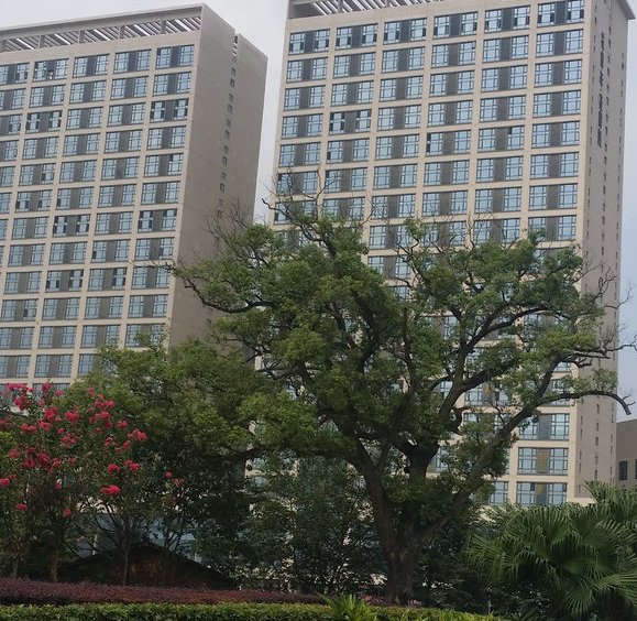  p>花样年花样城二期位于武汉市东西湖金银湖,由 a target="_blank"